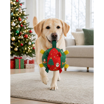 Jingle Bounce Dog Ball