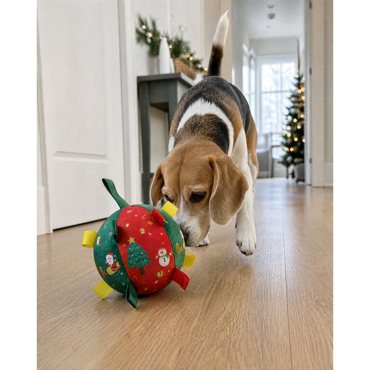 Jingle Bounce Dog Ball